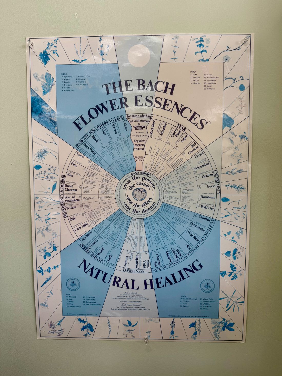 The Bach Flower Essences chart hanging on the wall at the market