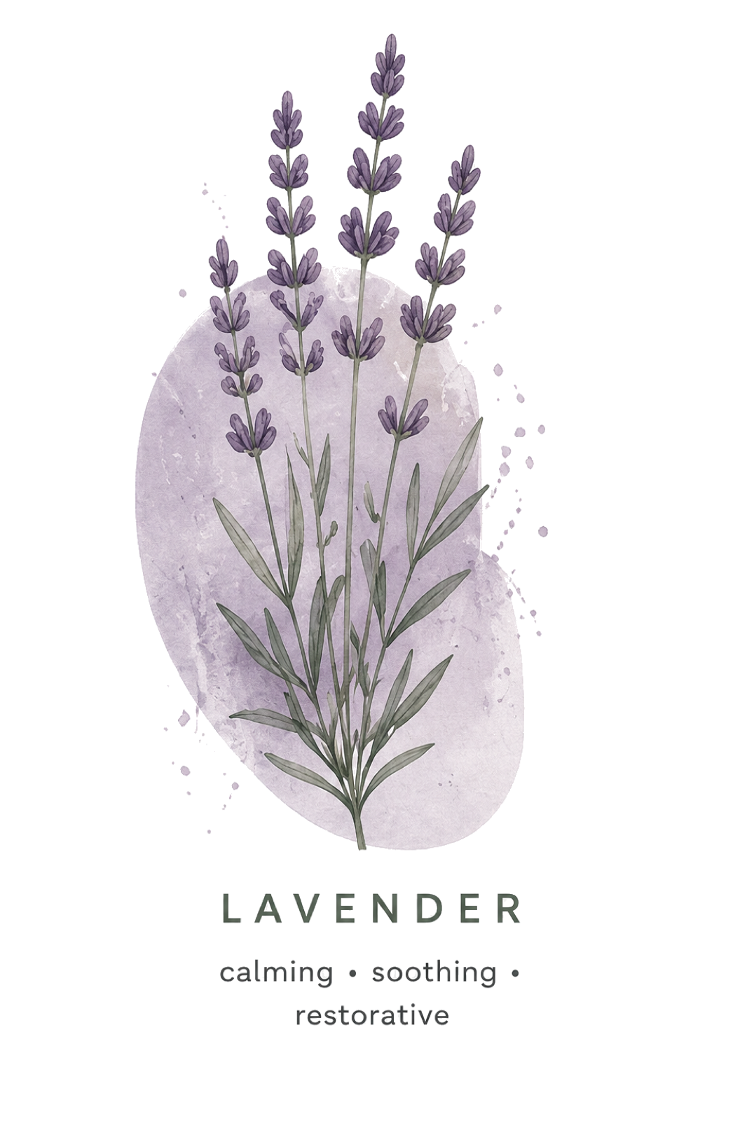 Lavender