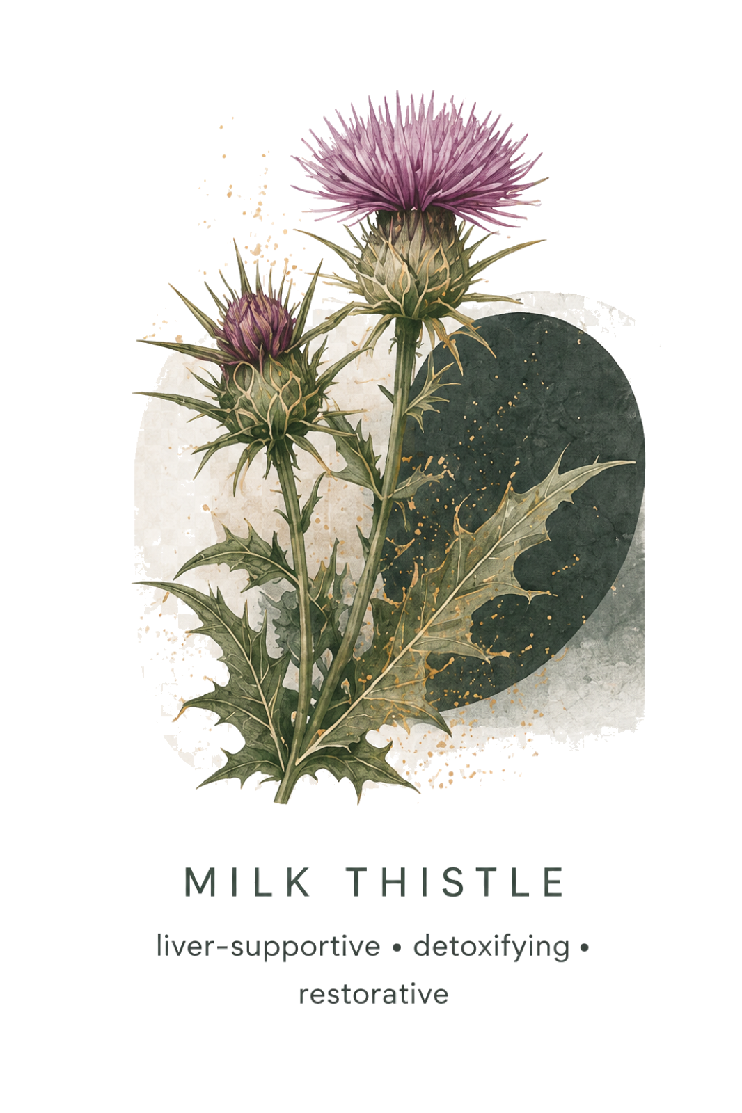 Milk thistle
